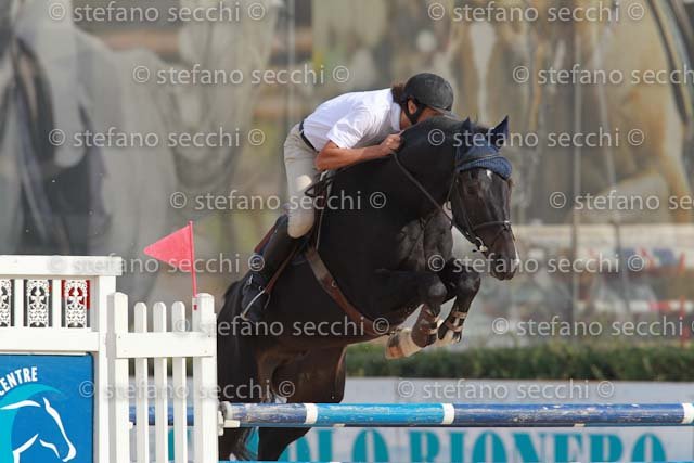 SAIBENE_CRISTHALCOLOR_GIO CAV 2011_SS3_9464.jpg